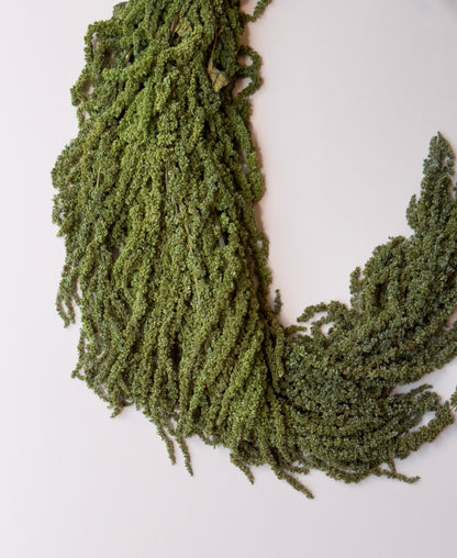 Hanging Amaranthus - Pine Forest Green