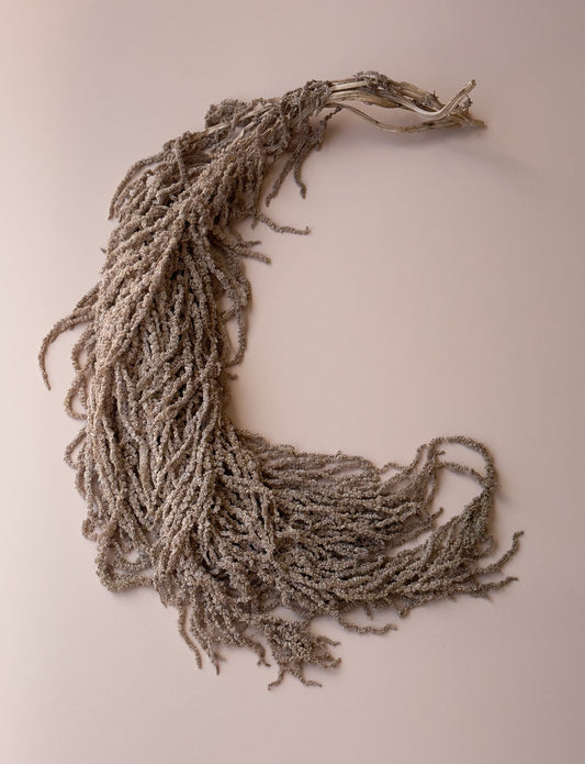 Hanging Amaranthus - Light/Medium Brown