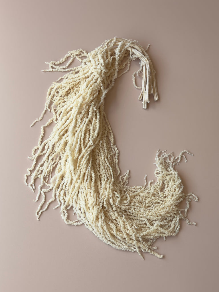 Hanging Amaranthus - Soft White/Ivory