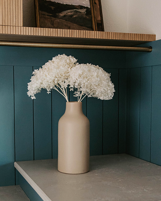 Real Hydrangea Preserved - Large White/Soft White