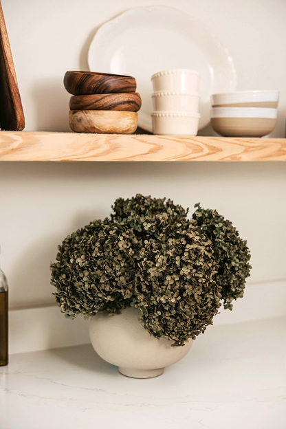 Real Hydrangea Preserved - Medium Olive Green Ombré