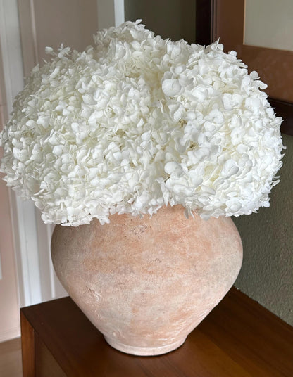 Real Hydrangea Preserved - Large White/Soft White