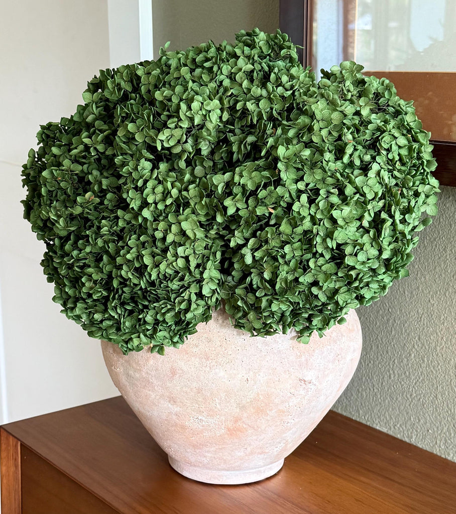 Real Hydrangea Preserved- Medium/Large Emerald Green