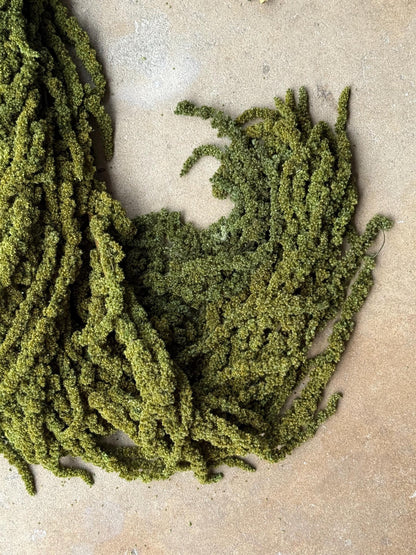 Hanging Amaranthus - Pine Forest Green