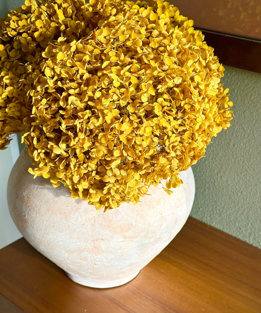 Real Hydrangea Preserved - Large Mustard Gold - alternate
