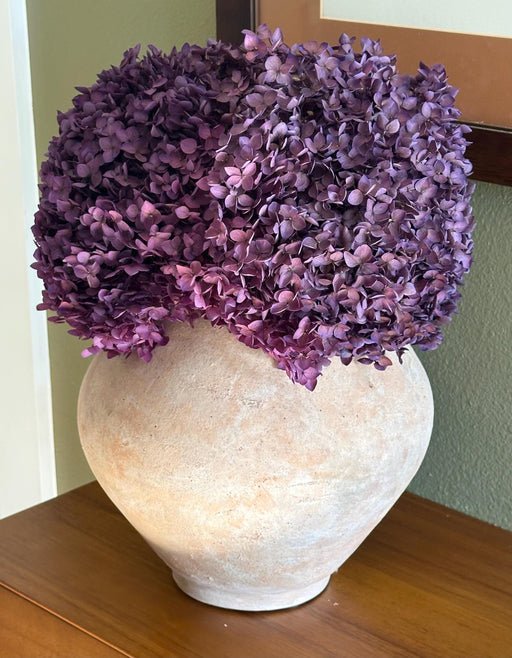 Real Hydrangea Preserved - Large Purple Plum