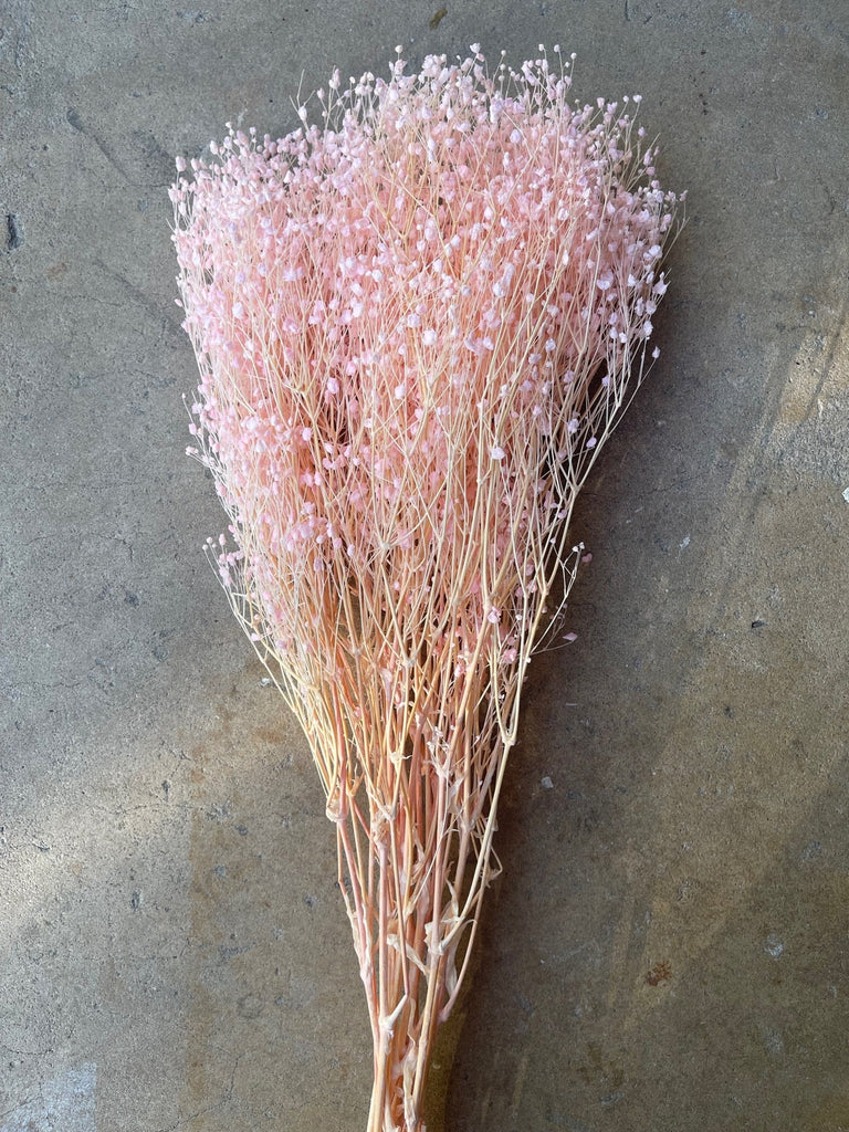 Light Pink Preserved Baby's Breath