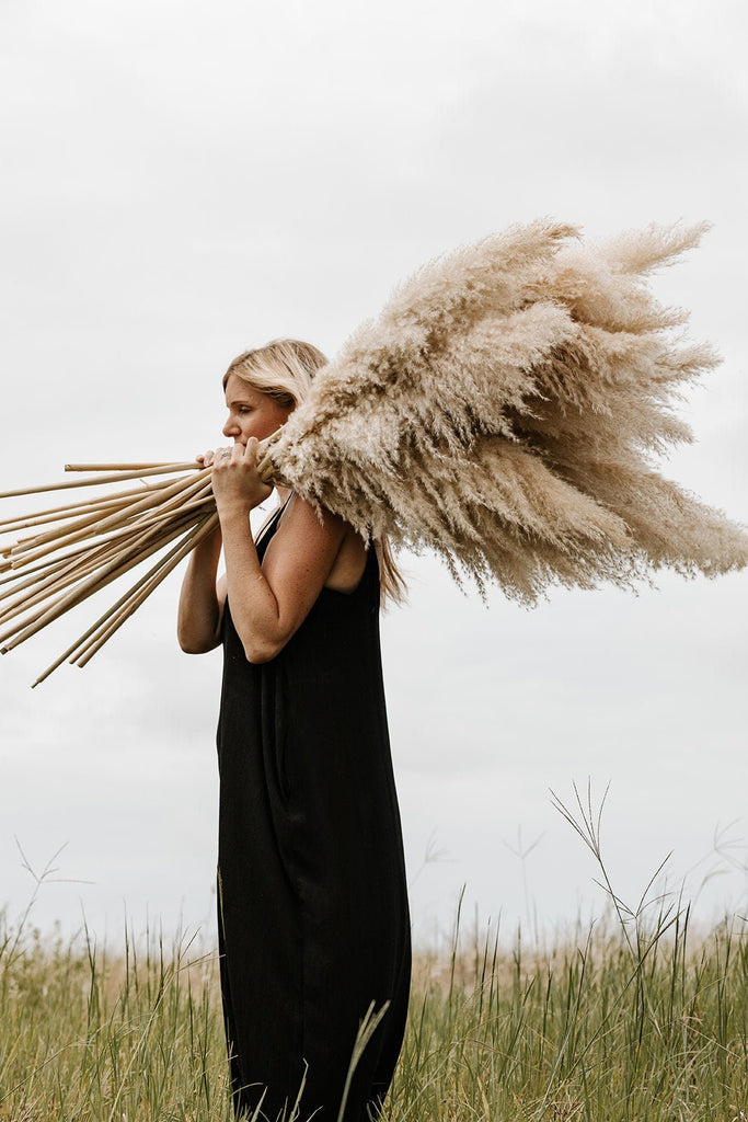 Pampas Grass - X-Large 4 FT Natural Fluffy