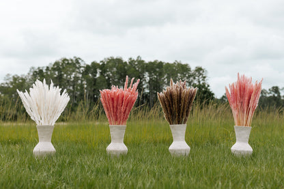 Thin 2FT Natural Brown Pampas Grass