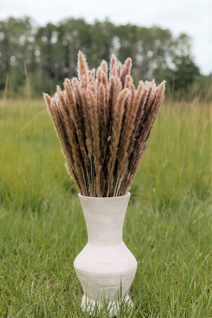 Thin 2FT Natural Brown Pampas Grass