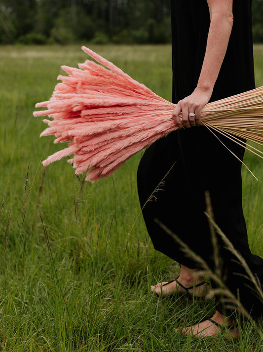 Thin 2FT Pink Pampas Grass