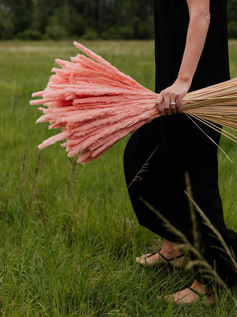 Thin 2FT Pink Pampas Grass