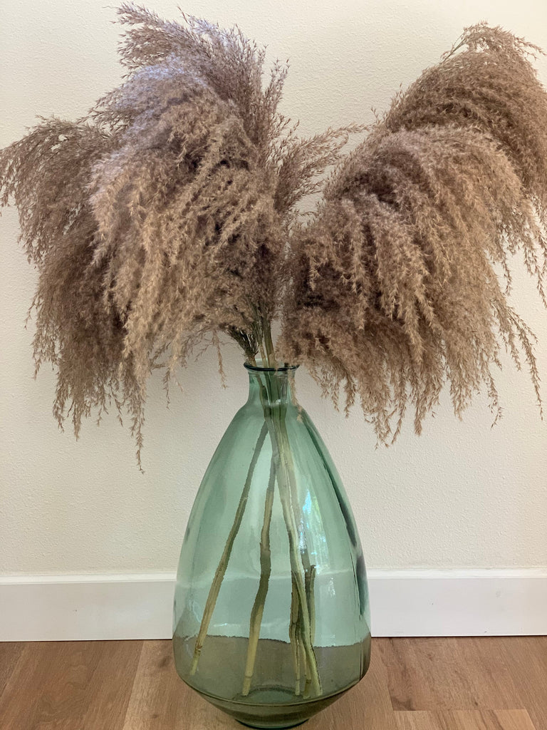 Large Droopy Brown Natural Pampas Grass