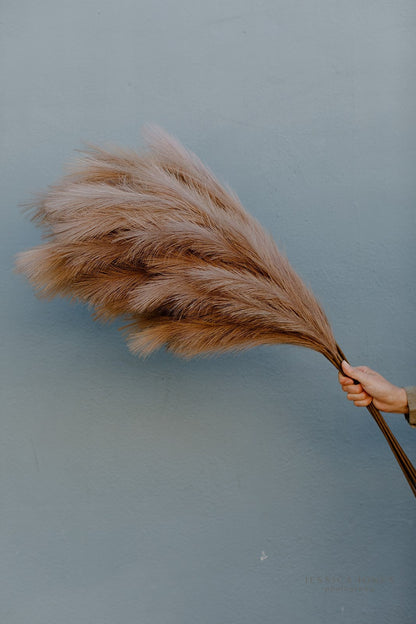 Large Faux Pampas Grass Artificial - Brown
