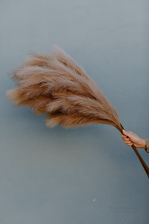 Large Faux Pampas Grass Artificial - Brown - alternate