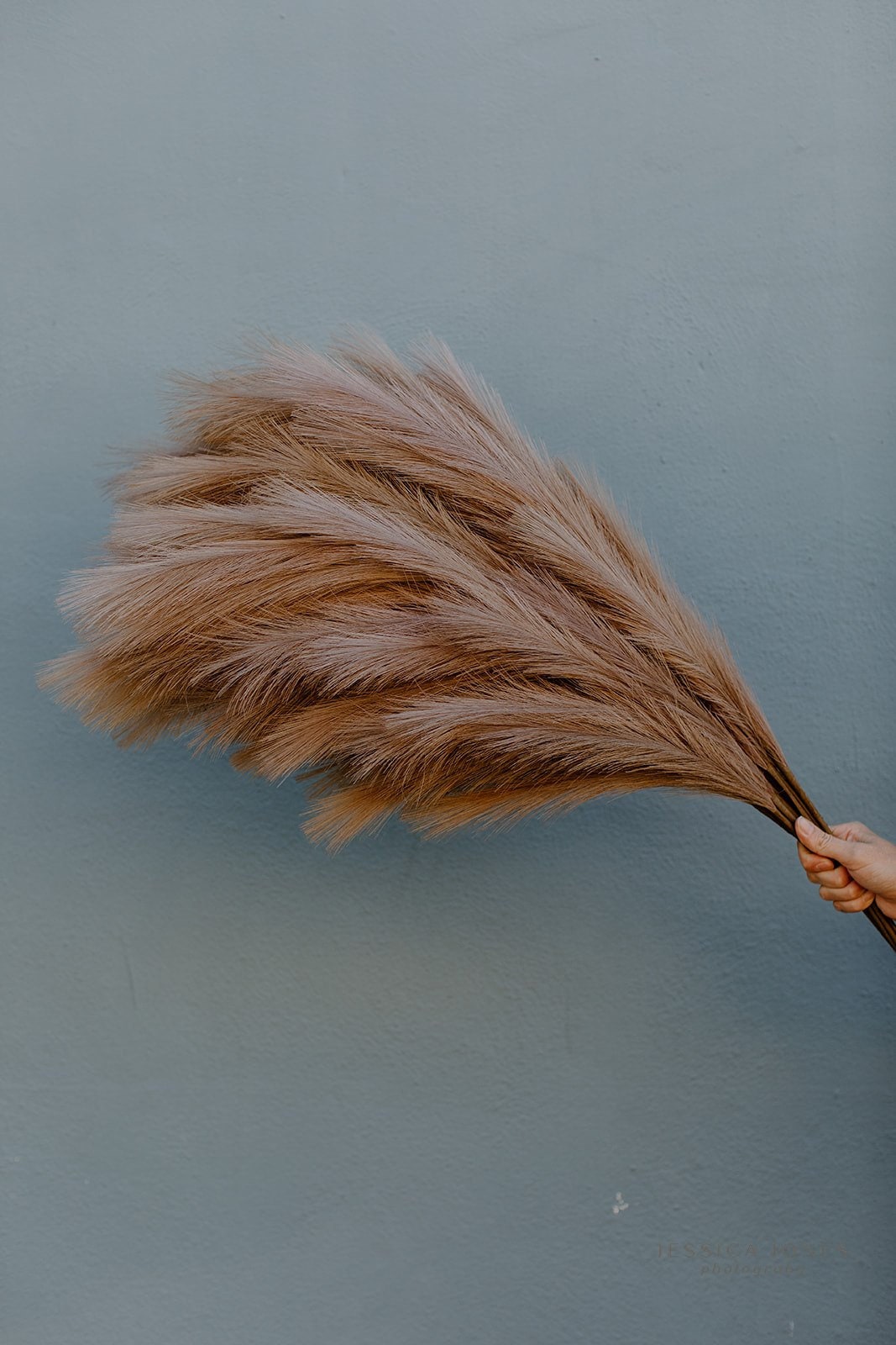 Large Faux Pampas Grass Artificial - Brown