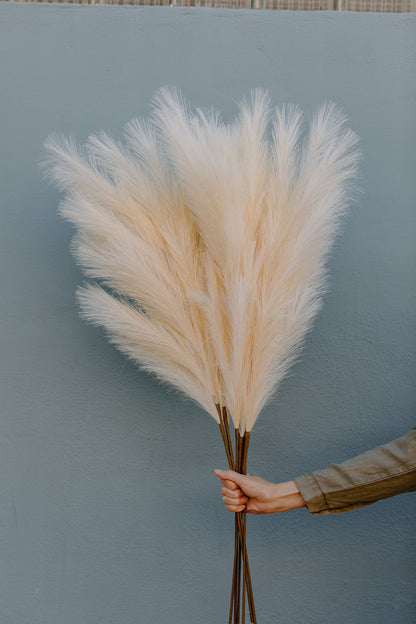 Large Faux Pampas Grass Artificial - Ivory