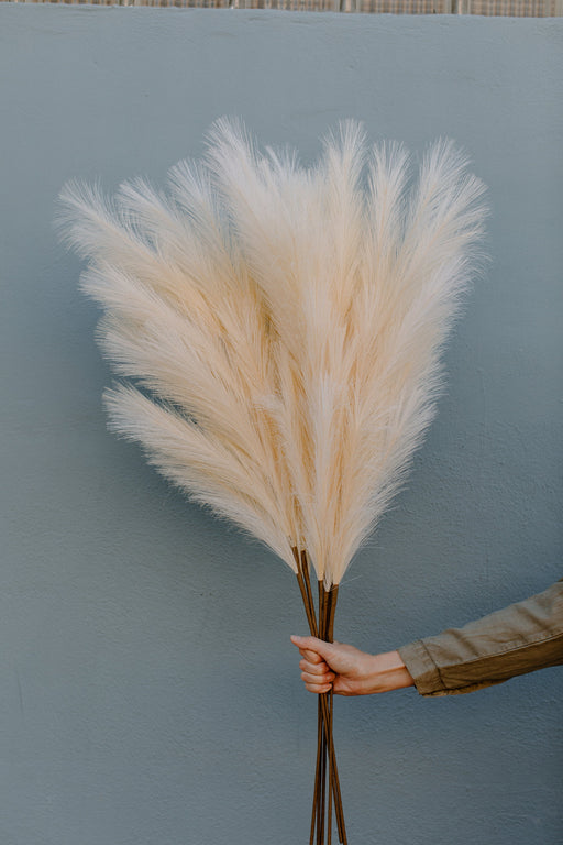Large Faux Pampas Grass Artificial - Ivory - alternate