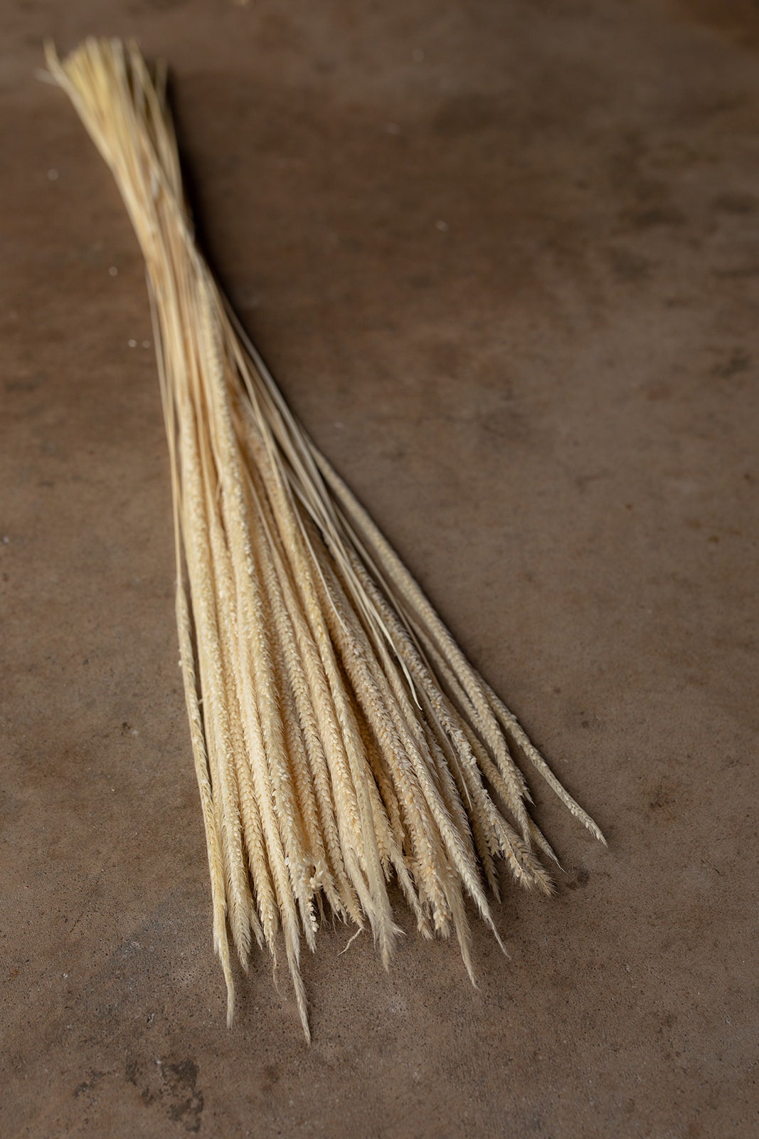 Kirin Grass - Ivory