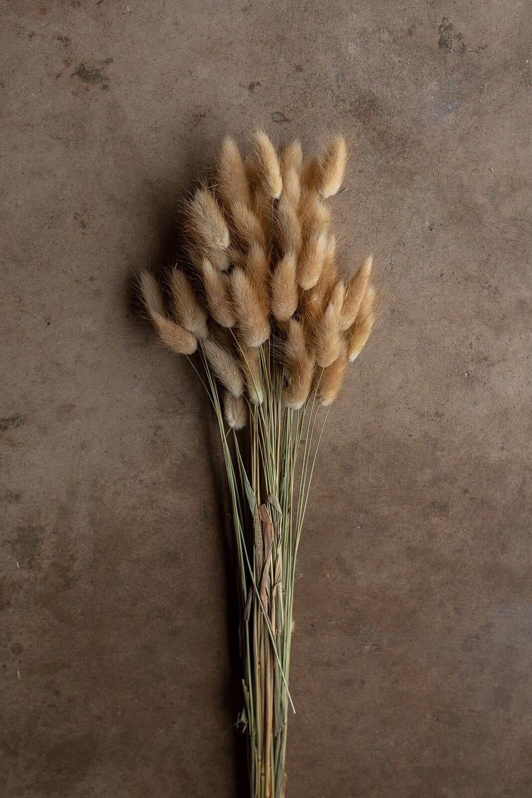 Bunny Tails - Tan/Brown