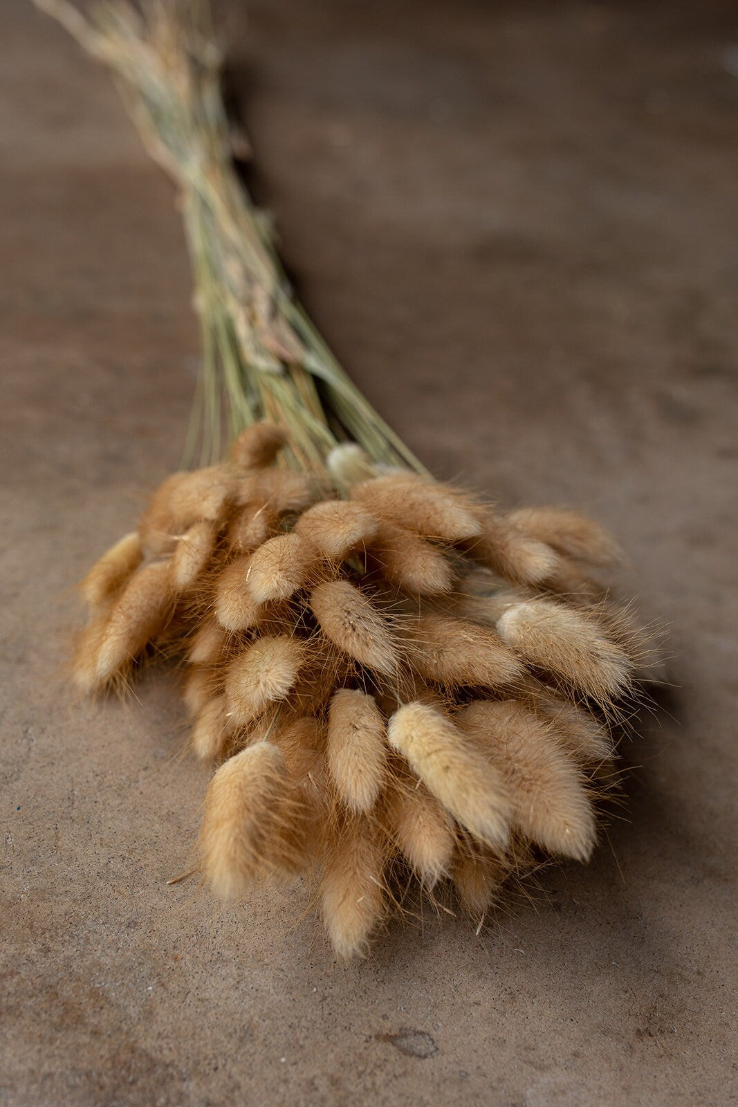 Bunny Tails - Tan/Brown