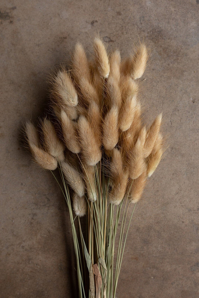 Bunny Tails - Tan/Brown