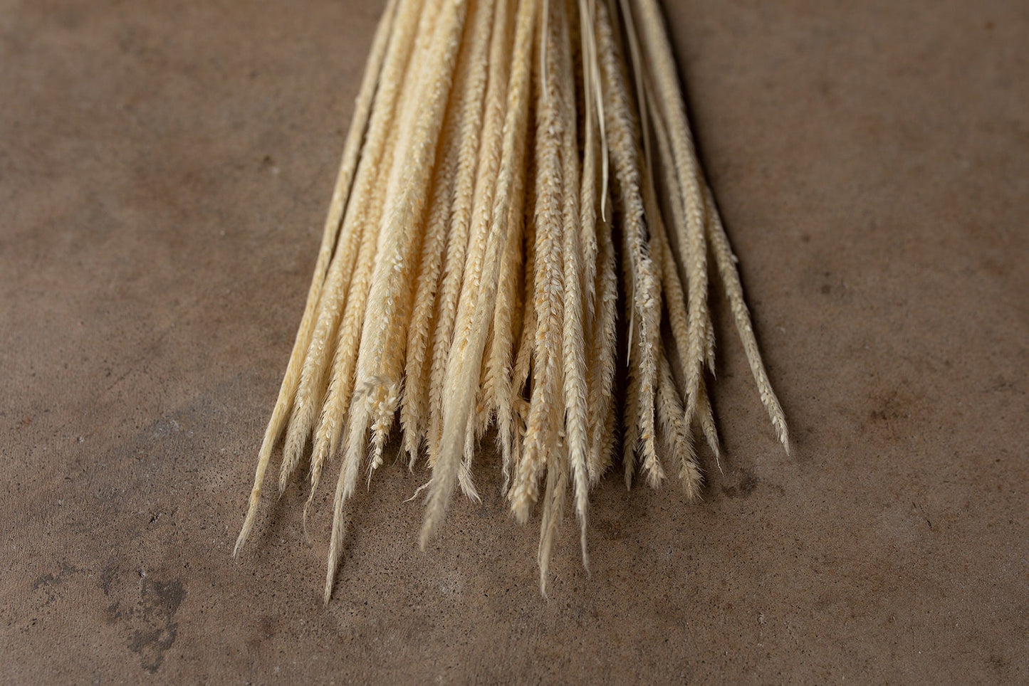Kirin Grass - Ivory