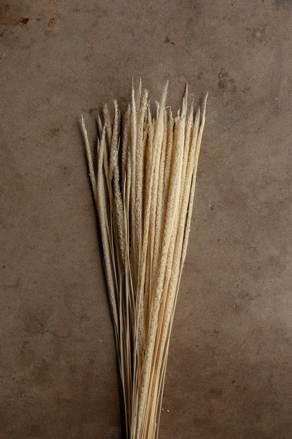 Kirin Grass - Ivory