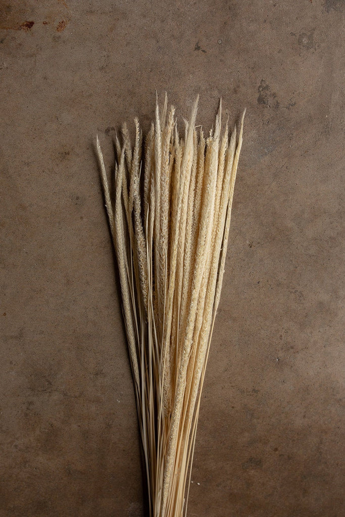 Kirin Grass - Ivory