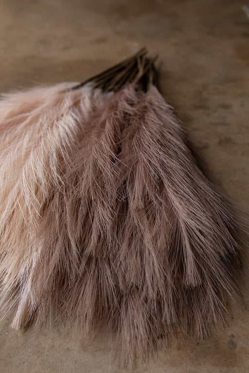 2ft Faux Tabletop Pampas Grass Artificial - Brown - alternate