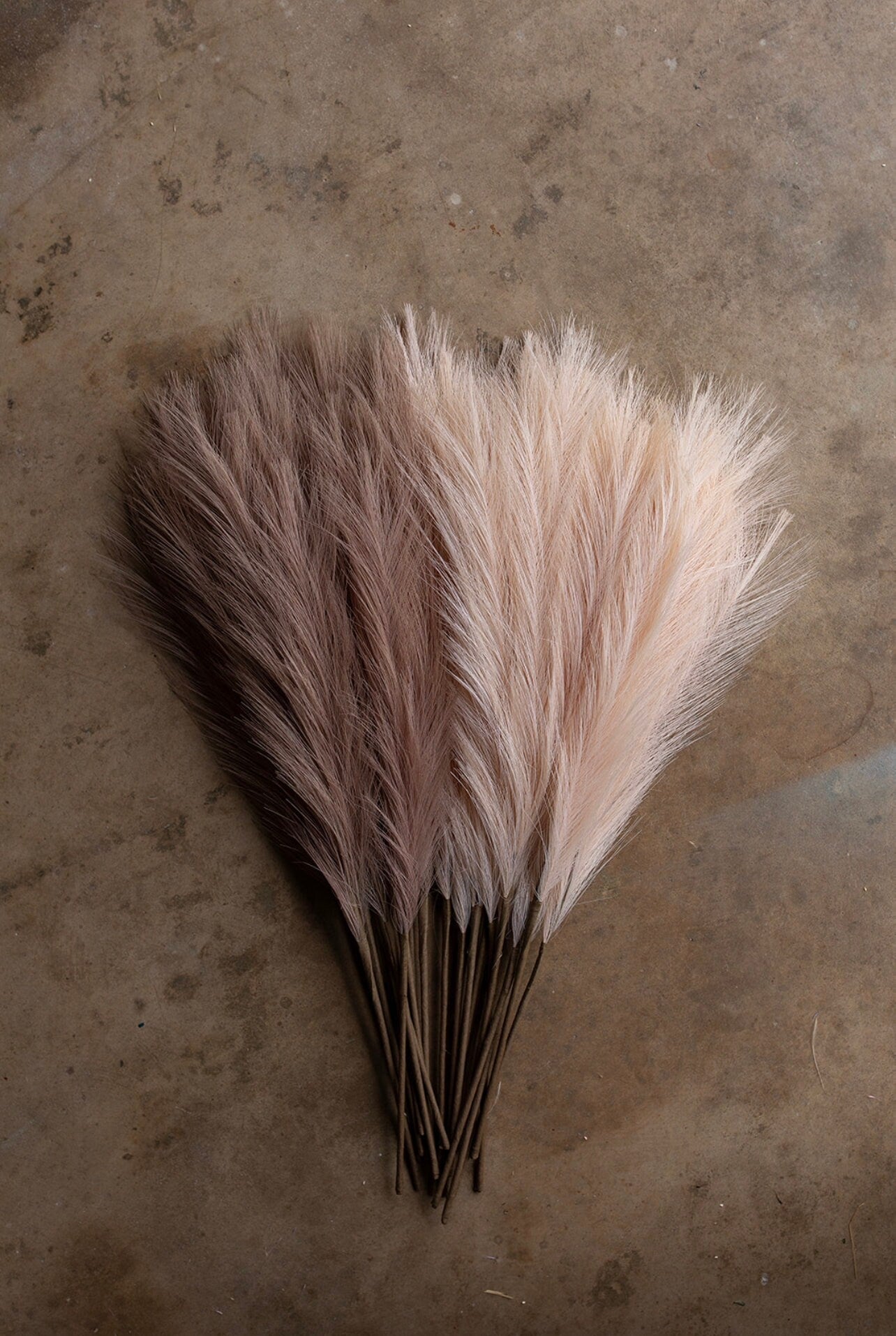 2ft Faux Tabletop Pampas Grass Artificial - Ivory