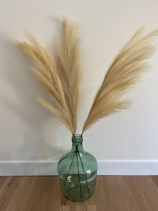 Large Faux Pampas Grass Artificial - Taupe/Butterscotch - alternate