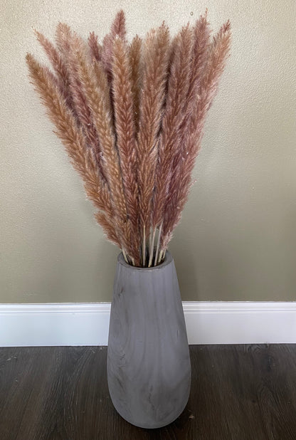 X-Large Thin 2.5 FT Natural Pampas Grass- Limited Edition