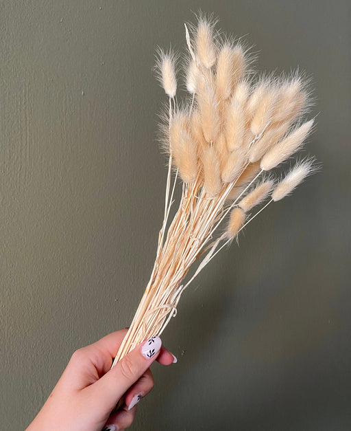 Bunny Tails - Golden Sand - alternate