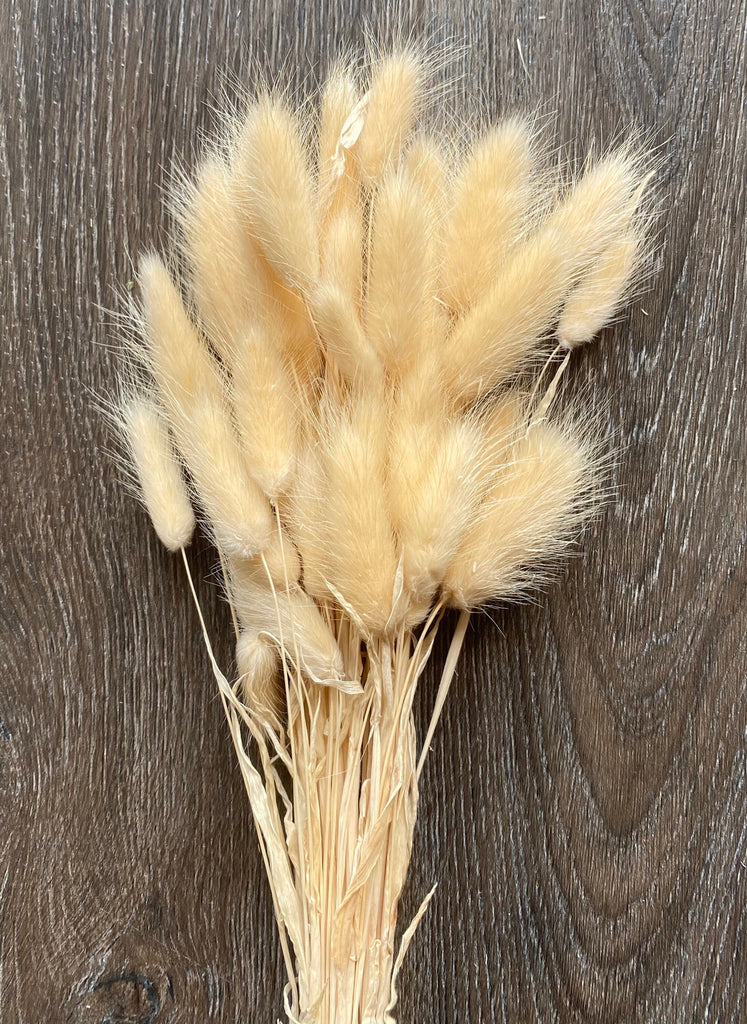 Bunny Tails - Golden Sand
