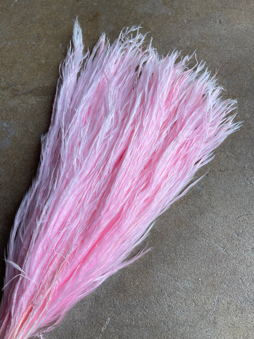 Feather - Pink - alternate