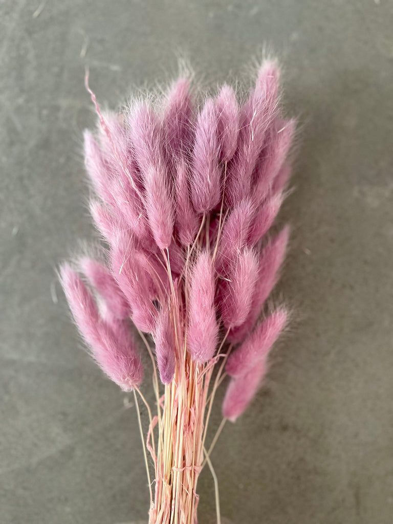 Bunny Tails - Magenta Ombre