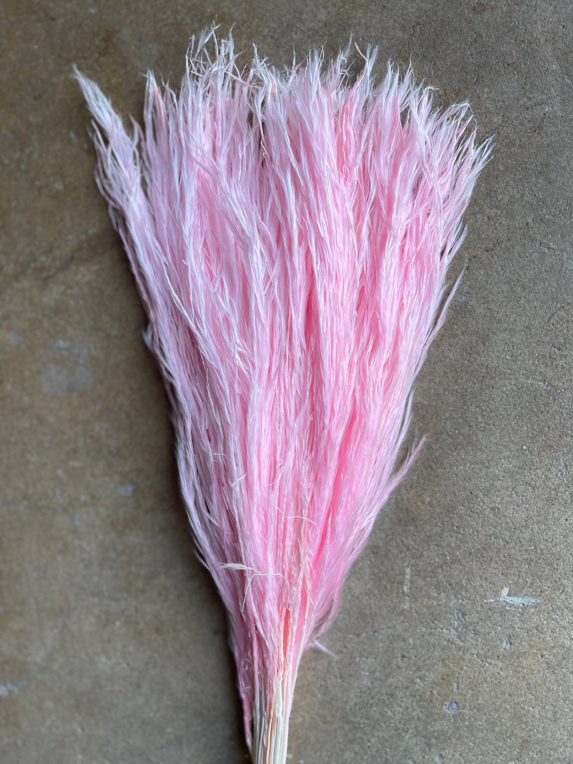 Feather - Pink