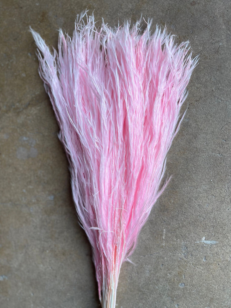 Feather - Pink