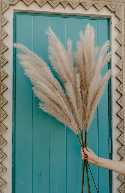Large Faux Pampas Grass Artificial - Light Brown Taupe - alternate