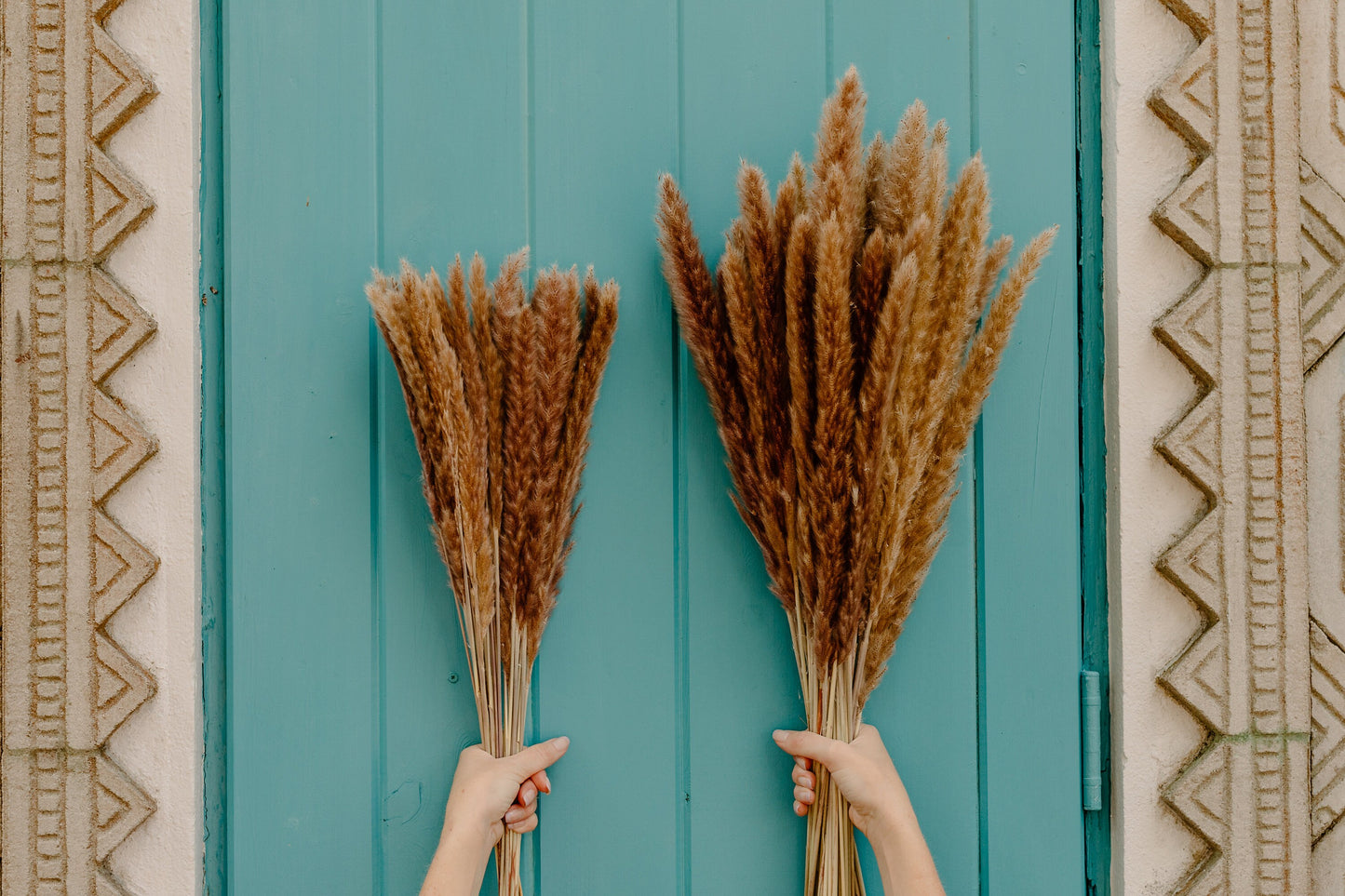 X-Large Thin 2.5 FT Natural Pampas Grass- Limited Edition