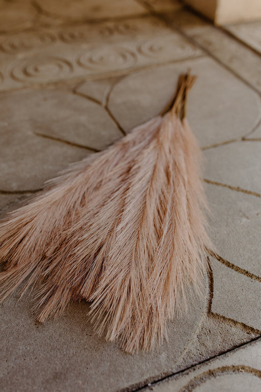 2ft Faux Tabletop Pampas Grass Artificial - Champagne Rose - alternate