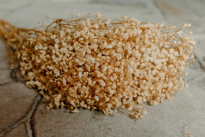 Antique Ivory Preserved Baby's Breath