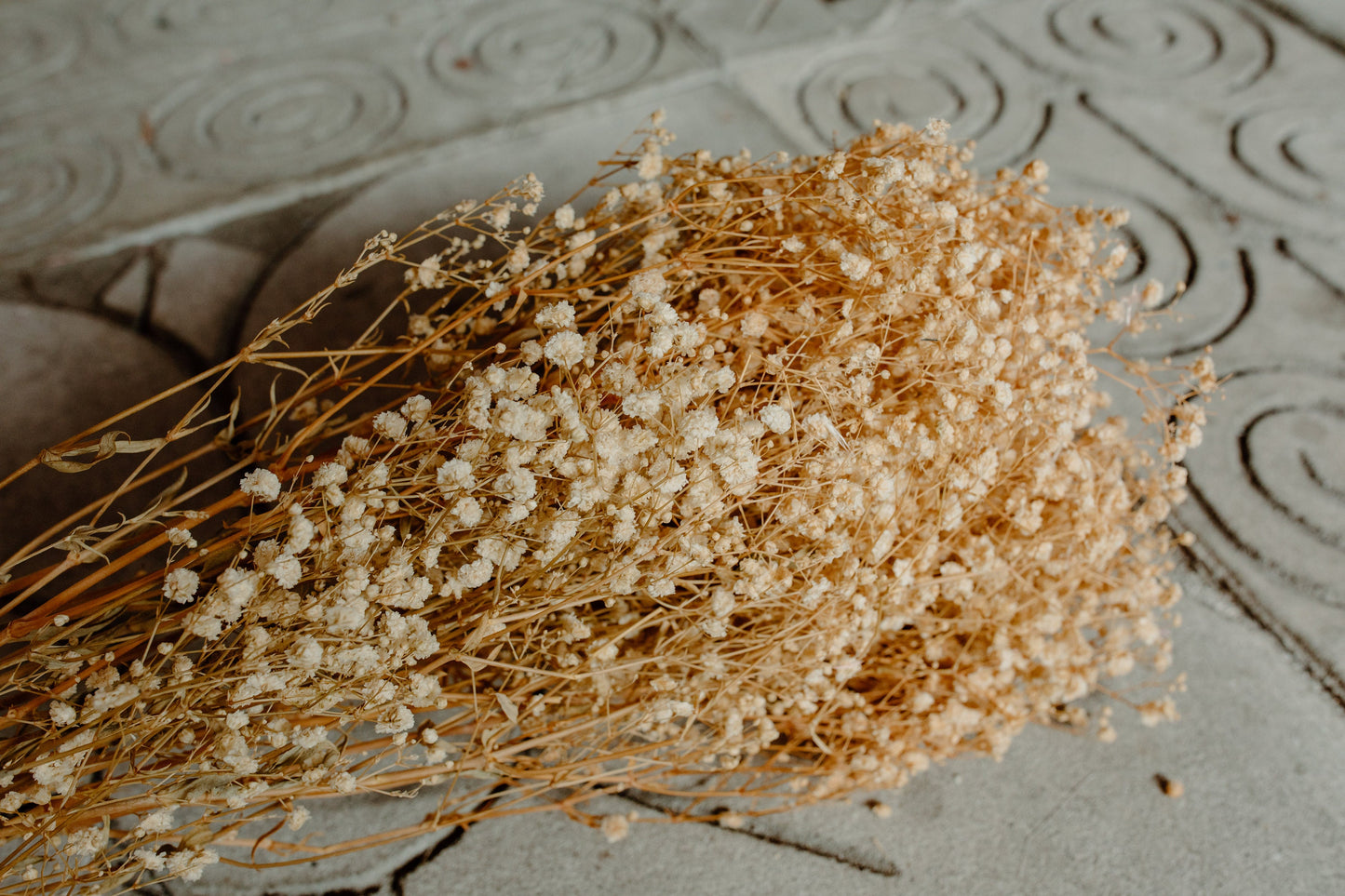 Antique Ivory Preserved Baby's Breath
