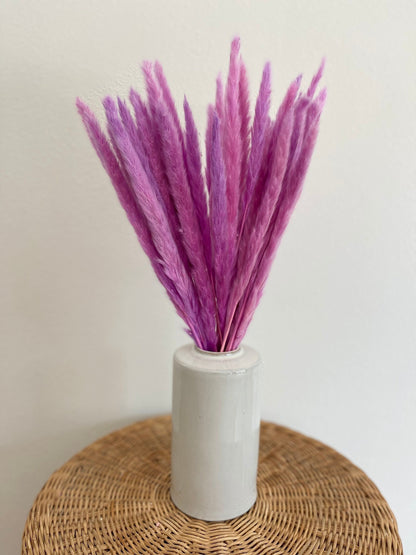 Thin 2FT Magenta Ombre Pampas Grass