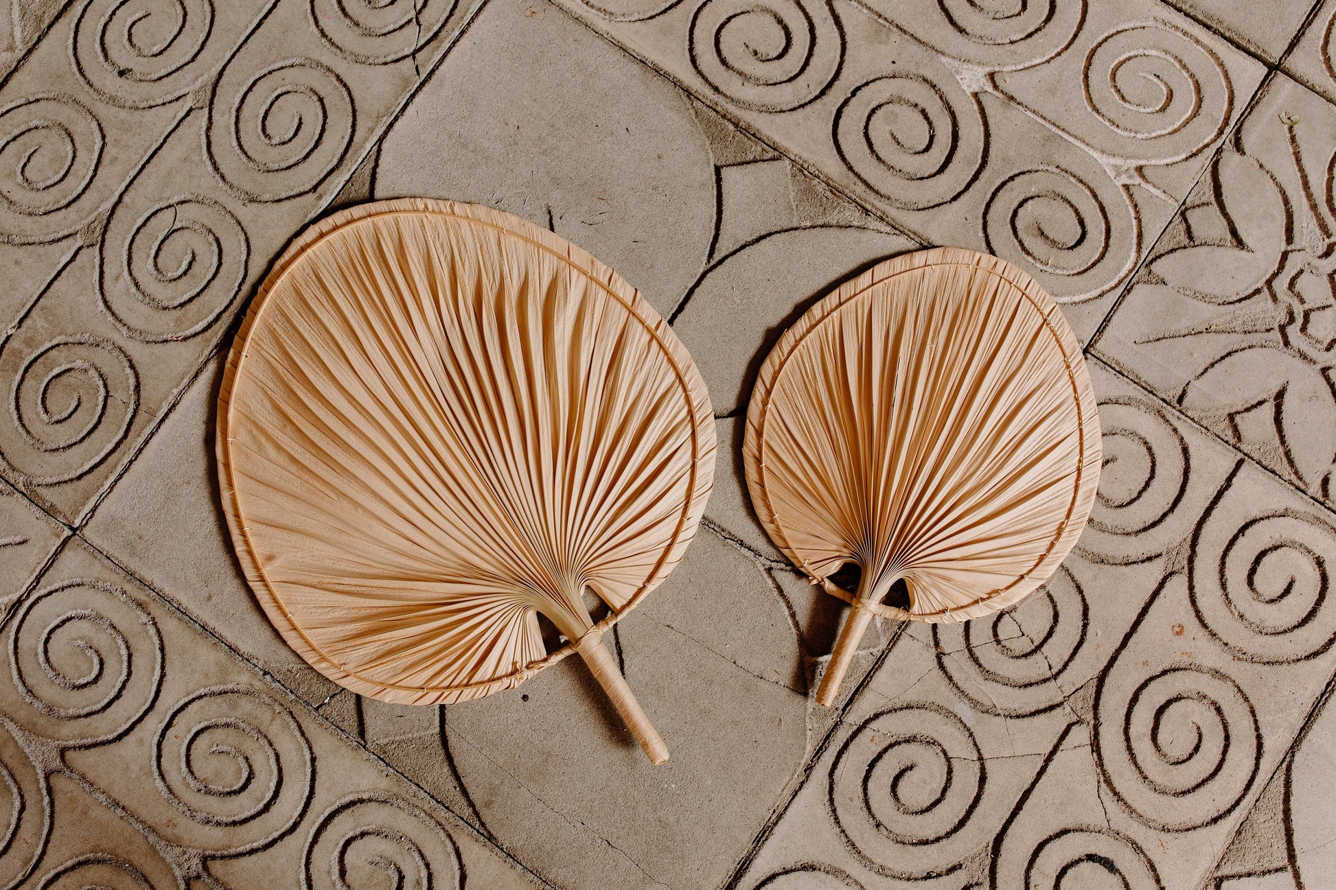 Decorative Palms