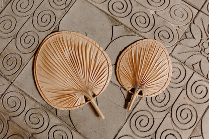 Decorative Palms