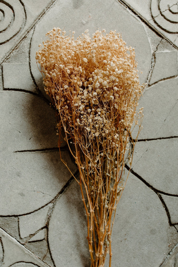 Antique Ivory Preserved Baby's Breath