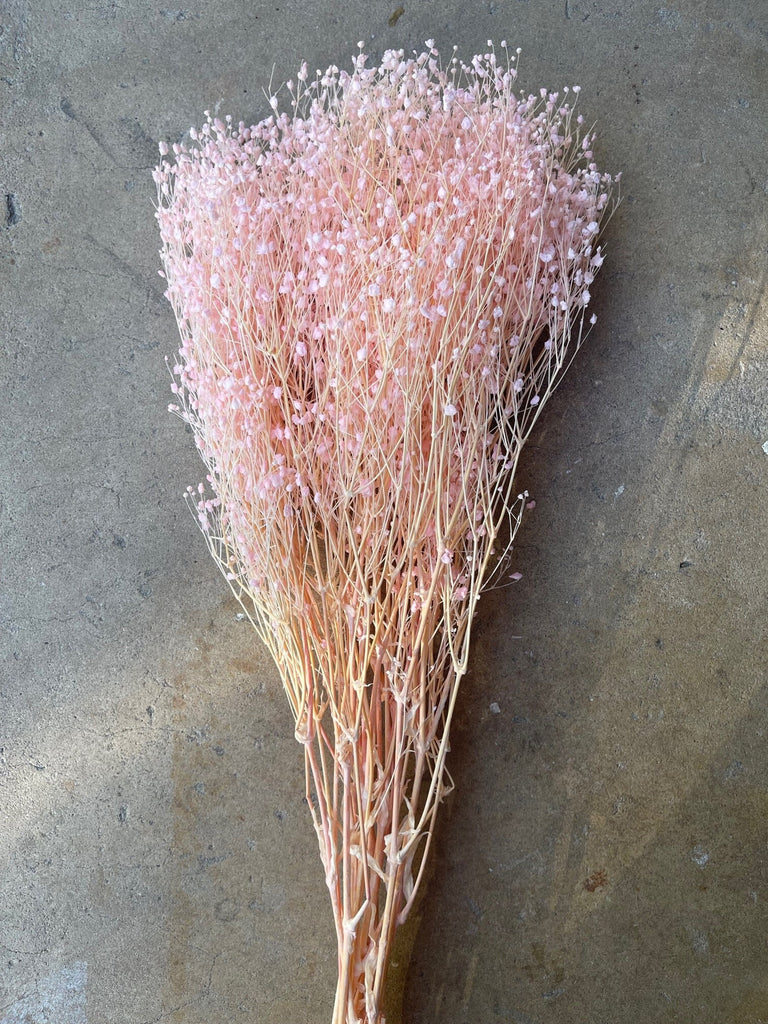 Light Pink Preserved Baby's Breath