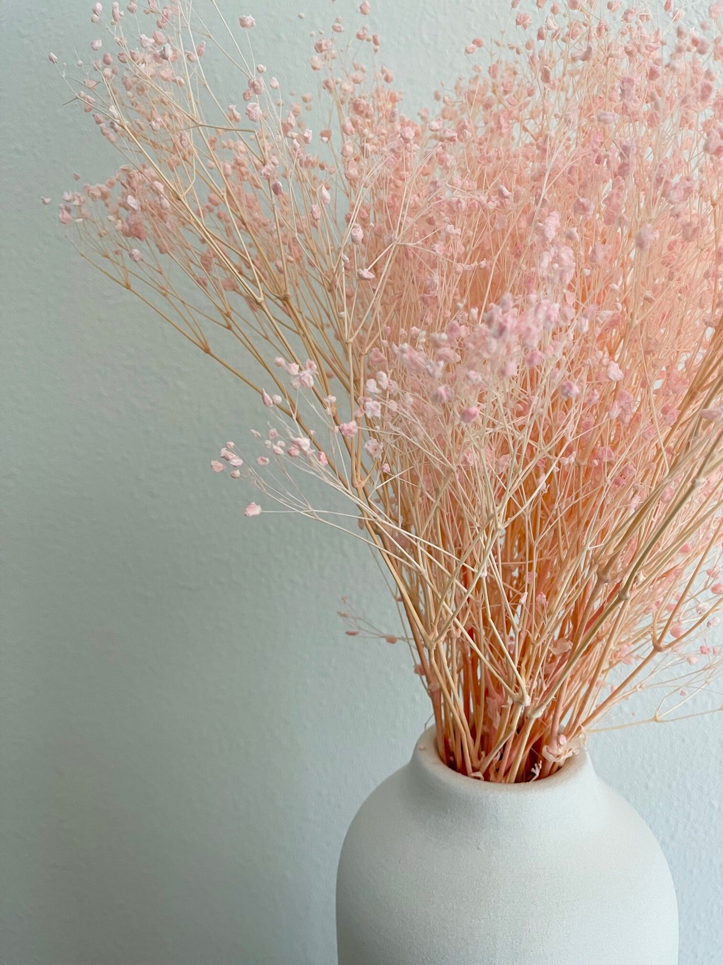 Light Pink Preserved Baby's Breath